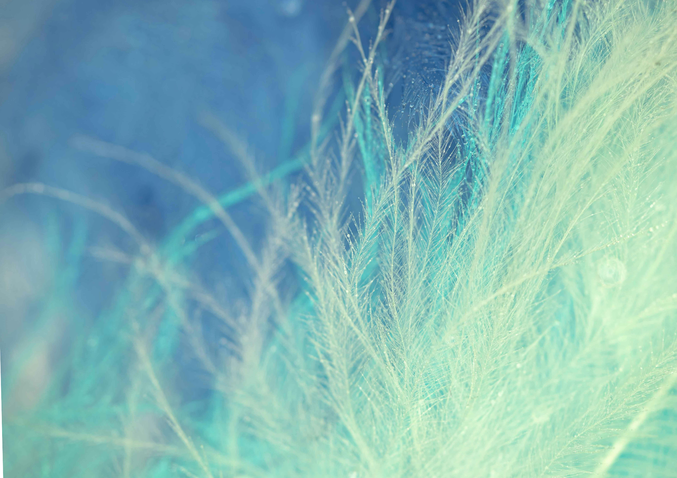 Một loại thuế ngầm mà không ai để ý