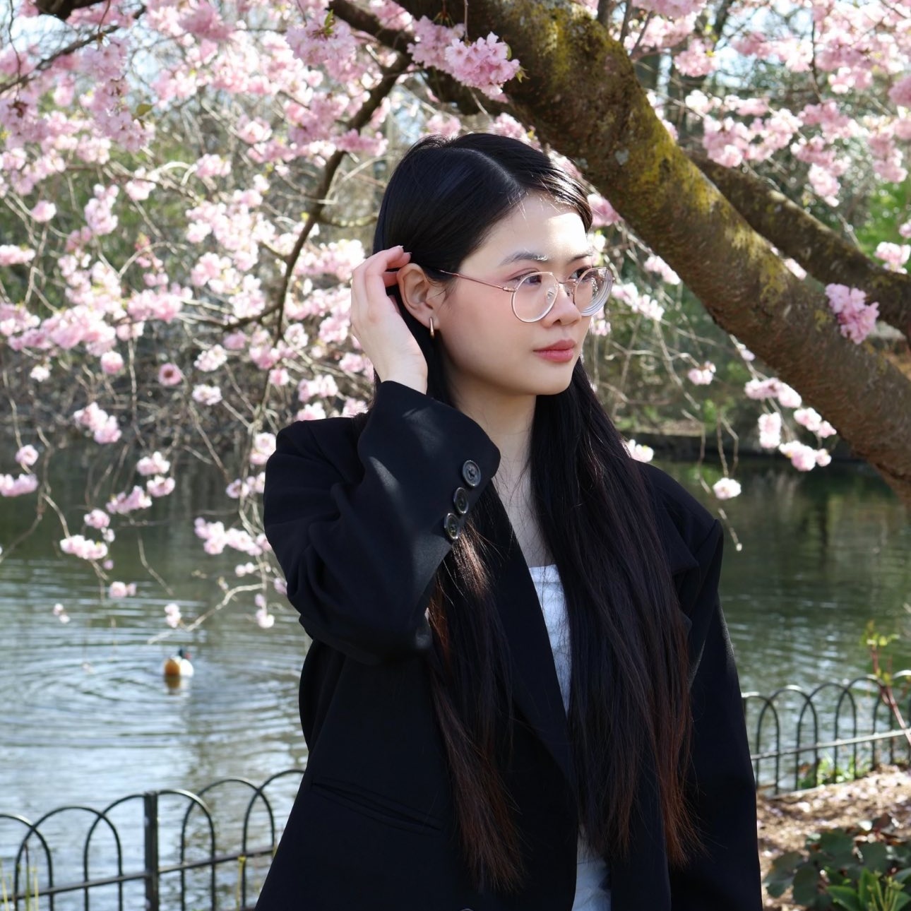 Kế toán, Lập trình và AI